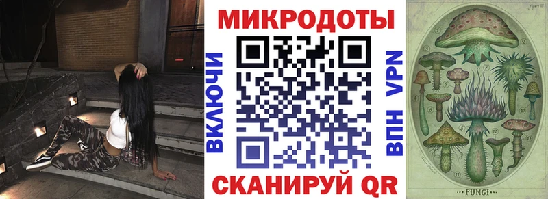 Купить где  Жигулёвск  Псилоцибиновые грибы GOLDEN TEACHER 
